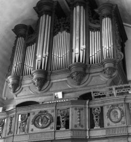 The organs of Pereboom & Leyser