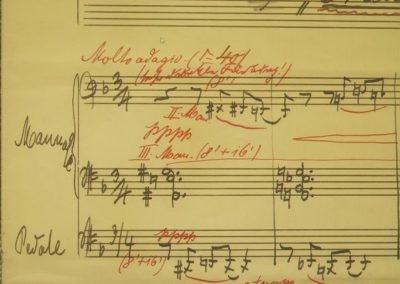 ‘Meist liegt der Rhythmus in der Tiefe der kleineren Notenwerte’. {Usually the rhythm is found in the depth of 
			the smaller note-values}. Tempo in Reger’s works by Cor van Wageningen