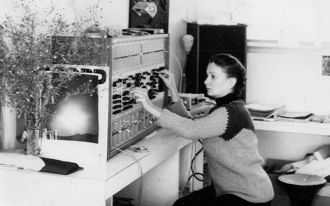 Orgelpark: Éliane Radigue’s Occam XXV