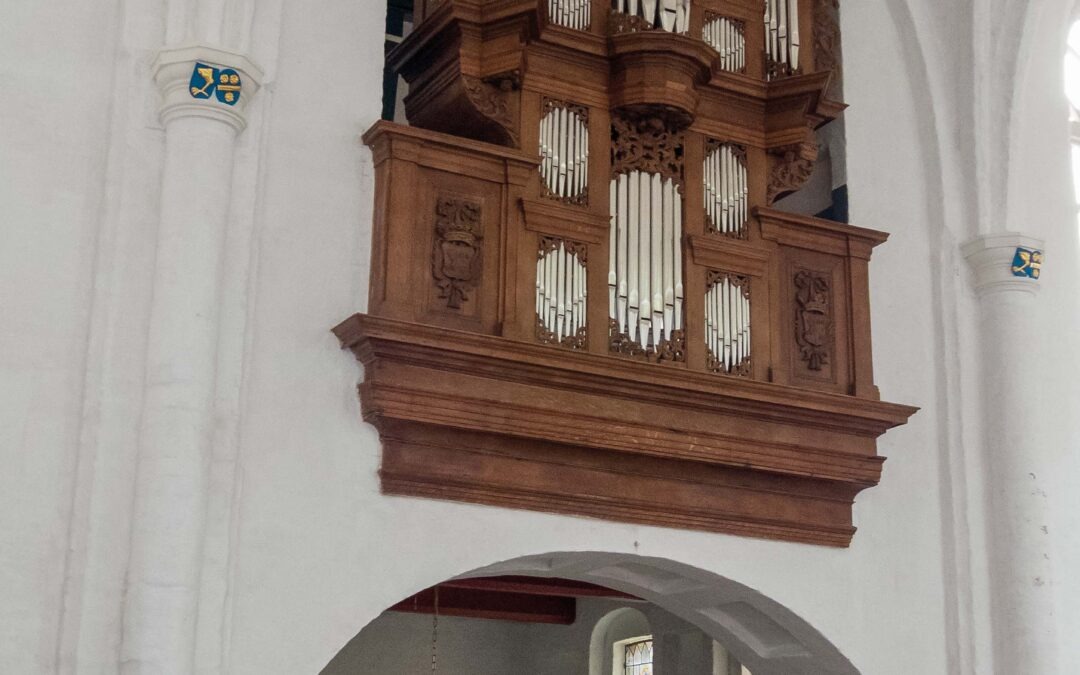 Two organs, one history